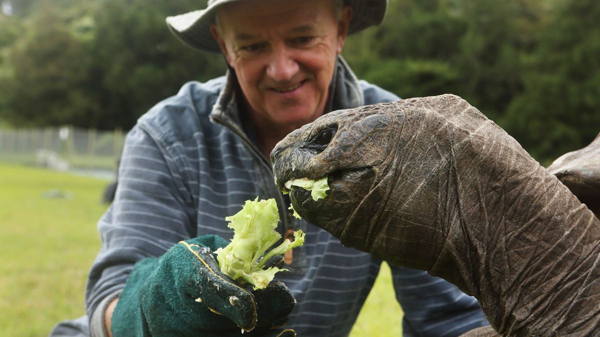 Příběh veterináře, který zachránil nejstarší želvu na světě